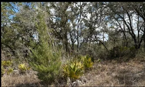 18308 Parakeet Rd, Brooksville, FL 34614