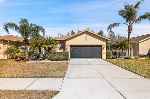 20907 Diamonte Dr, Land O Lakes, FL 34637