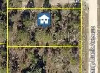 16051 Scaup Duck Ave, Weeki Wachee, FL 34614