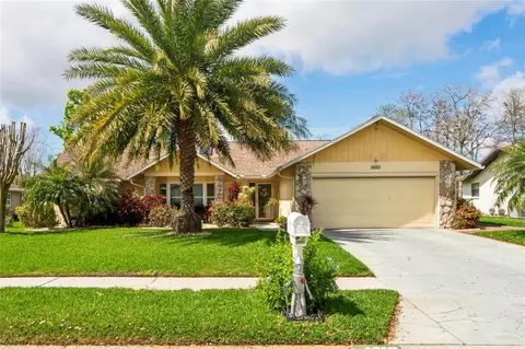 3817 Erin Brook Dr, New Port Richey, FL 34655