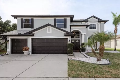 19216 Inlet Cove Ct, Lutz, FL 33558