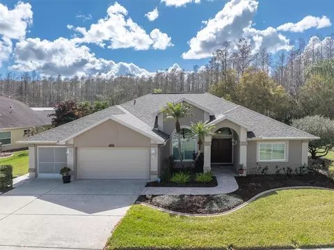 1105 Arlinbrook Dr, Trinity, FL 34655