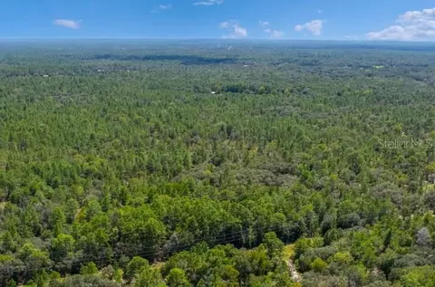 6272 W Hagan Ct, Dunnellon, FL 34433