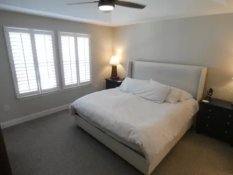 Bedroom - 1505 Sunset Wind Loop, Oldsmar, FL 34677 photo 1 of 3