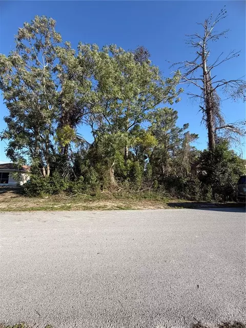 11230 Montcalm Rd, Spring Hill, FL 34608 photo 5
