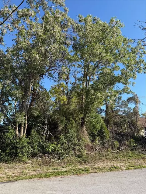 11230 Montcalm Rd, Spring Hill, FL 34608