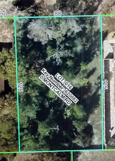 11230 Montcalm Rd, Spring Hill, FL 34608 photo 2