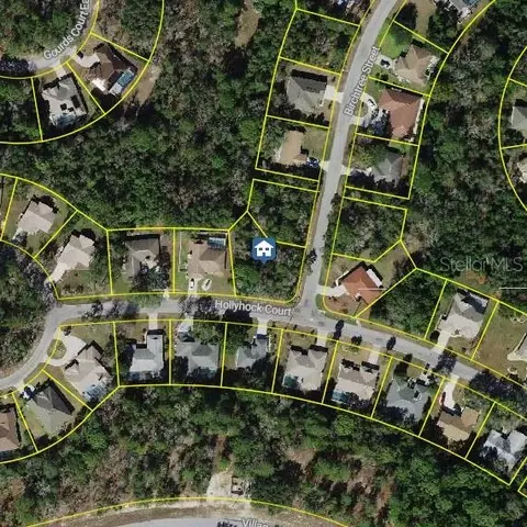 36 Hollyhock Ct, Homosassa, FL 34446