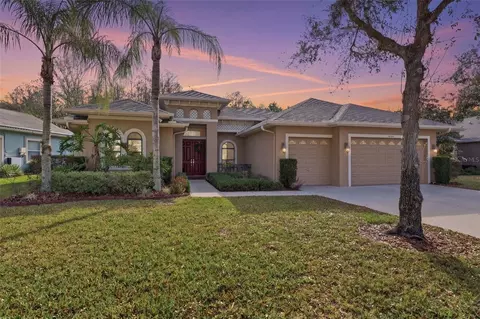 14834 Man O War Dr, Odessa, FL 33556