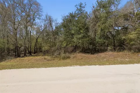Undisclosed, Webster, FL 33597