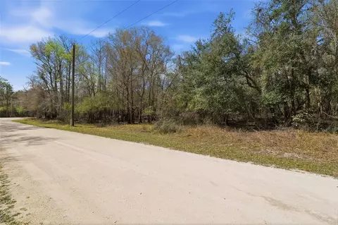 Undisclosed, Webster, FL 33597 photo 3