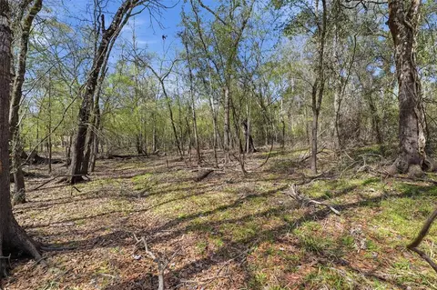 Undisclosed, Webster, FL 33597 photo 16