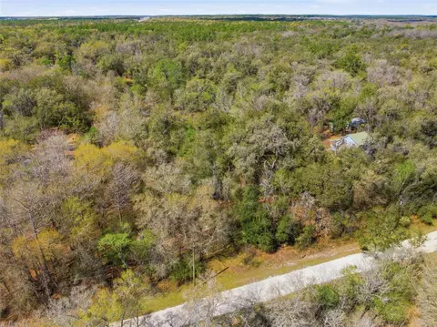 Undisclosed, Webster, FL 33597 photo 5