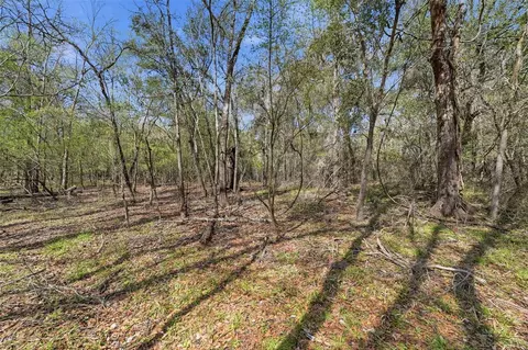 Undisclosed, Webster, FL 33597 photo 17