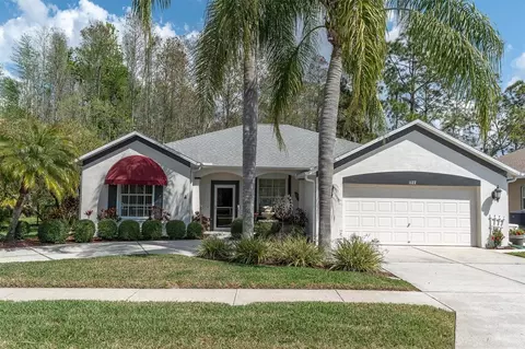 1122 Maravista Dr, Trinity, FL 34655