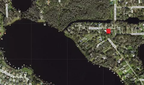 14328 Chisholm Ln, Odessa, FL 33556