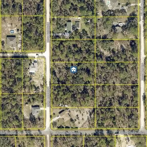 lot8 Nuthatch Rd, Weeki Wachee, FL 34614