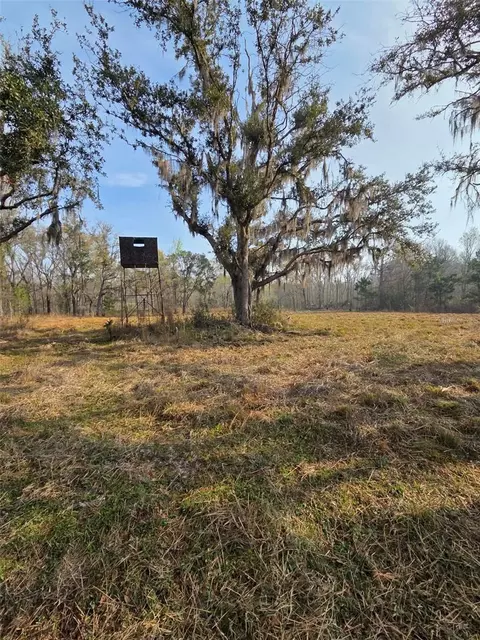 Other - 1106 Fox Hunter Rd, Perry, FL 32348 photo 2 of 9