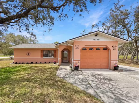 12229 Cedro St, Spring Hill, FL 34609