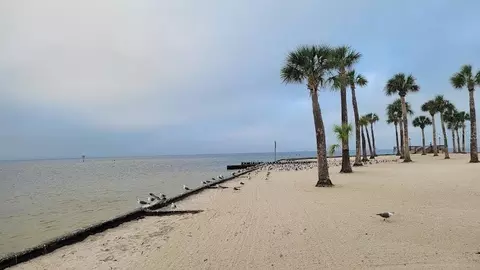 View/Area - 4489 Fishman Ave, Weeki Wachee, FL 34607 photo 6 of 6