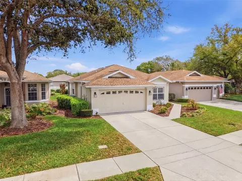 View/Area - 15021 Tamarind Loop, Spring Hill, FL 34609 photo 10 of 13