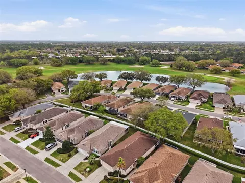 View/Area - 15021 Tamarind Loop, Spring Hill, FL 34609 photo 12 of 13