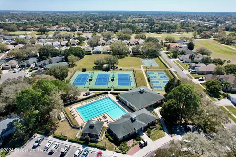 View/Area - 15021 Tamarind Loop, Spring Hill, FL 34609 photo 9 of 13