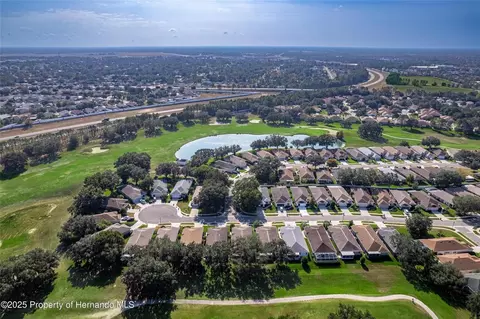 View/Area - 15021 Tamarind Loop, Spring Hill, FL 34609 photo 11 of 13