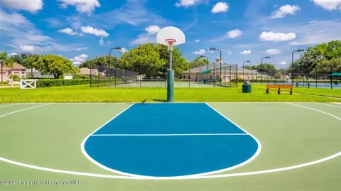 Other - 15021 Tamarind Loop, Spring Hill, FL 34609 photo 12 of 22