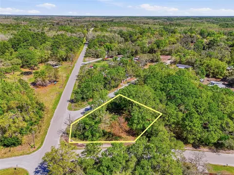 100 Fern St, New Port Richey, FL 34654