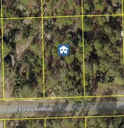 11323 Furley Ave, Weeki Wachee, FL 34613