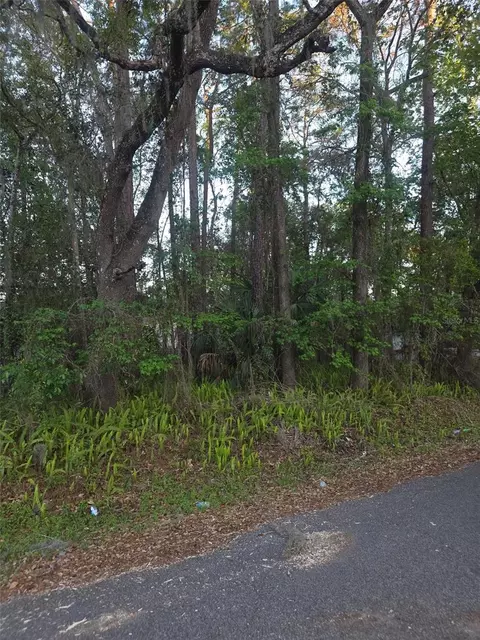 0 Bethune St, Brooksville, FL 34601