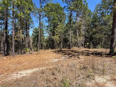 00000 SE 58th Pl, Morriston, FL 32668