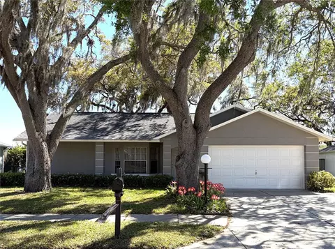 8648 Gold Pine Dr, Port Richey, FL 34668