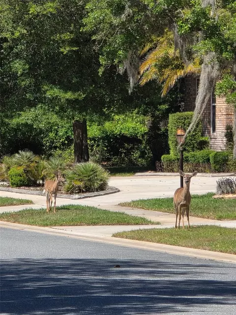 Other - 6151 New Osprey Pt, Weeki Wachee, FL 34607 photo 7 of 10
