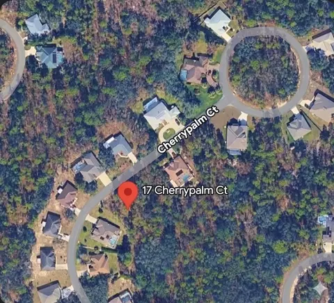 17 Cherrypalm Ct, Homosassa, FL 34446