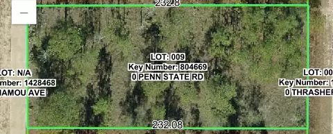 00 Penn State Rd, Weeki Wachee, FL 34613