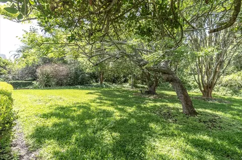Exterior - 1806 Kinsmere Dr, Trinity, FL 34655 photo 6 of 13