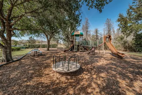 Other - 1806 Kinsmere Dr, Trinity, FL 34655 photo 8 of 12