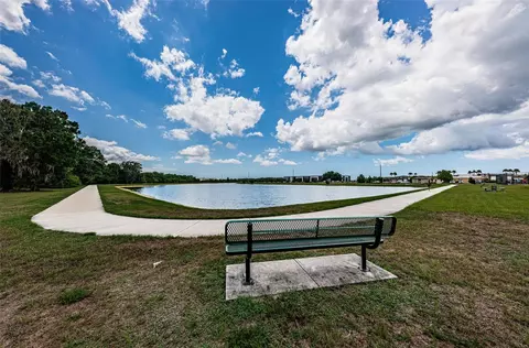 View/Area - 1806 Kinsmere Dr, Trinity, FL 34655 photo 14 of 14