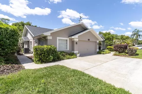 Exterior - 1806 Kinsmere Dr, Trinity, FL 34655 photo 13 of 13