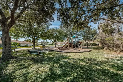 Other - 1806 Kinsmere Dr, Trinity, FL 34655 photo 11 of 12