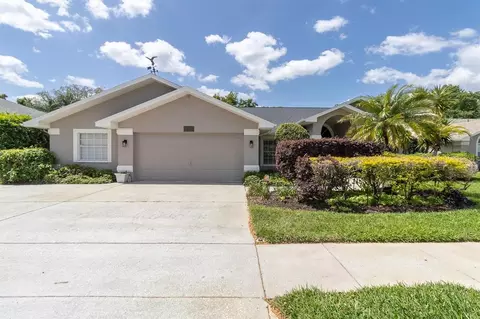 Exterior - 1806 Kinsmere Dr, Trinity, FL 34655 photo 12 of 13