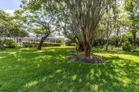 Exterior - 1806 Kinsmere Dr, Trinity, FL 34655 photo 9 of 13