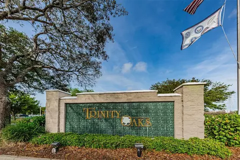 View/Area - 1806 Kinsmere Dr, Trinity, FL 34655 photo 6 of 14