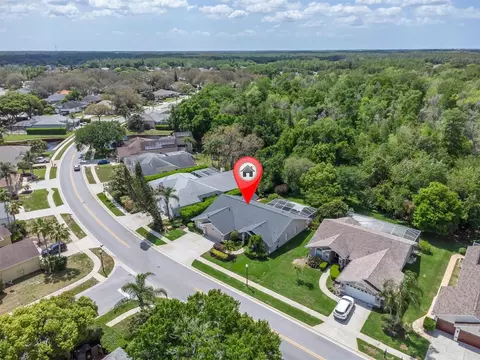 View/Area - 1806 Kinsmere Dr, Trinity, FL 34655 photo 4 of 14