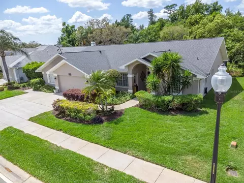View/Area - 1806 Kinsmere Dr, Trinity, FL 34655 photo 1 of 14