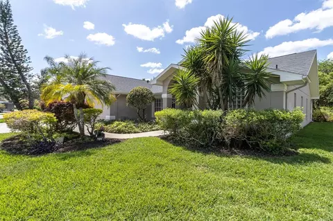 Exterior - 1806 Kinsmere Dr, Trinity, FL 34655 photo 11 of 13