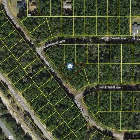 198 E Mcfaddin Pl, Dunnellon, FL 34434