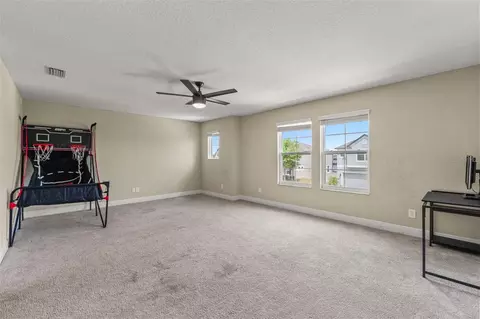 Other - 18696 Malinche Loop, Spring Hill, FL 34610 photo 16 of 23